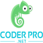 coderPro.net gravatar